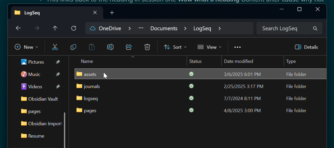 Cursor copying the assets folder in their Logseq directory